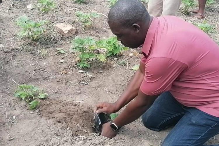 GT.ACCRA REGIONAL MINISTER EMBARKS ON MASSIVE TREE PLANTING EXERCISE IN DODOWA FOREST